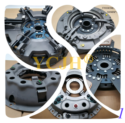 Brake Disc, OEM No.: 1099598R91 / 1975464C2 / 3040152R2 / 3064170R91 / 3064170R92 supplier